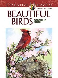 Libro Para Colorear De Beautiful Birds De Pájaros De 31 Páginas