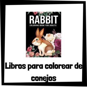 Lee más sobre el artículo Libros para colorear de conejos