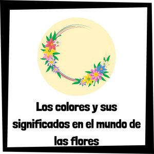 Los Colores Y Sus Significados En El Mundo De Las Flores